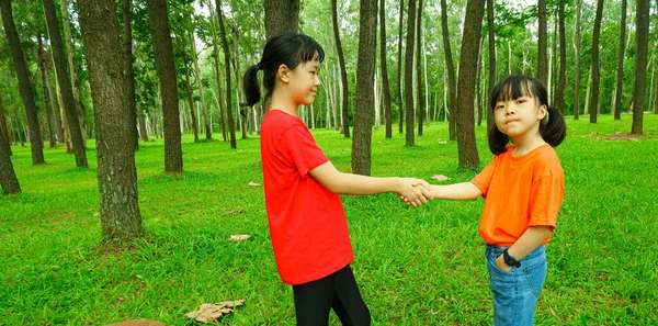 Dvě Asijské Sestry Hrají Handshake Parku — Stock fotografie