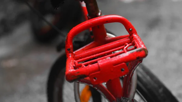 Isolated Close Image Red Carrier Bicycle — Stock Photo, Image