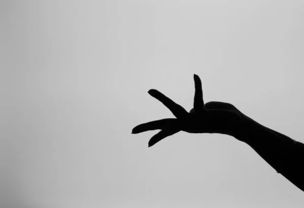 Hasta Mudra Nın Siyah Beyaz Görüntüsü Hint Geleneksel Dans Tarzının — Stok fotoğraf