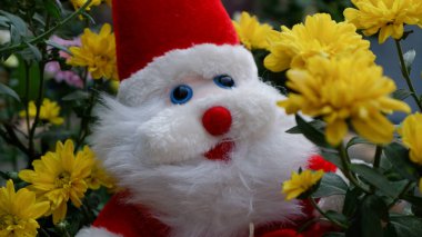 Noel Baba oyuncağı Noel ya da Noel günü için çiçekli.