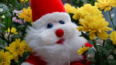 25 Aralık Noel günü için bahçede güzel çiçeklerle Noel Baba..