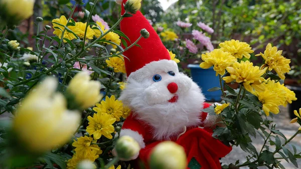 25 Aralık Noel günü için bahçede güzel çiçeklerle Noel Baba..
