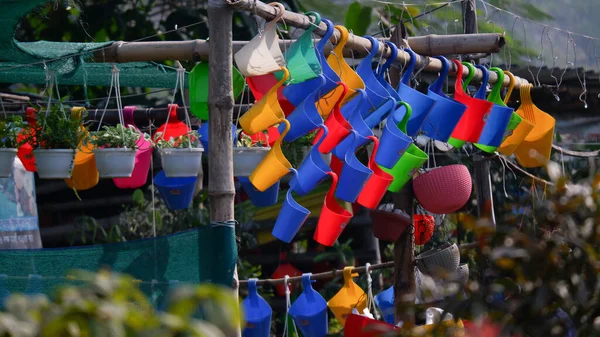 Kolkata,India dated 20.12.2021. Colourful Flower plastic pots with flowers in nursery for sale.