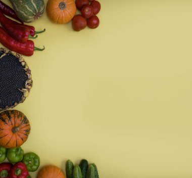 Taze çiğ sebzeler: domates, salatalık, kabak, kabak, biber, paprika ve sarı arka planda ayçiçeği. Sağlıklı yemek pişirmek için biyolojik ürünler. Çiftlik, diyet, dükkan konsepti. Kopyalama alanı olan pankart