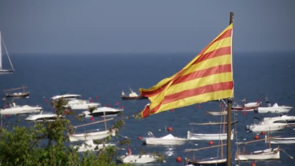 Bandera de Cataluña 01 — Vídeos de Stock