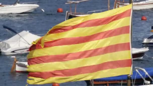 Catalunha Bandeira 03 — Vídeo de Stock