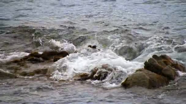 Morze skały 01 — Wideo stockowe
