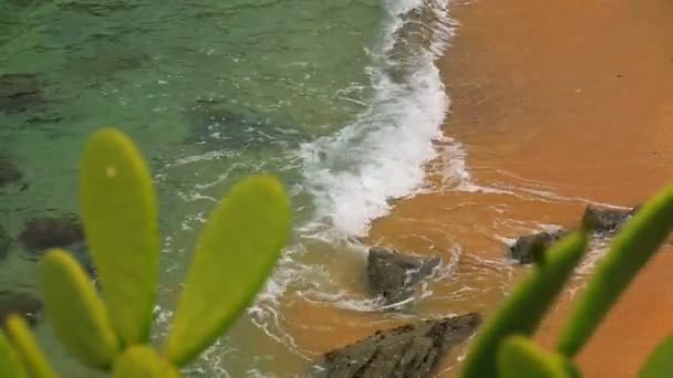 Türkisfarbener mediterraner Strandkorb Fokus 02 — Stockvideo