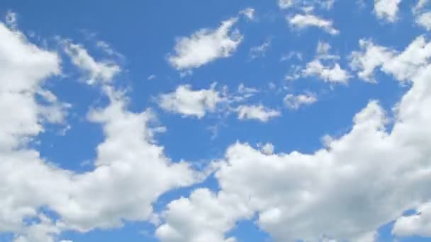 Witte zomer wolken — Stockvideo