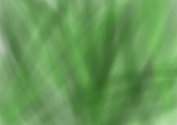 Abstract View Plants Herbs Leaves Green Color — Foto de Stock