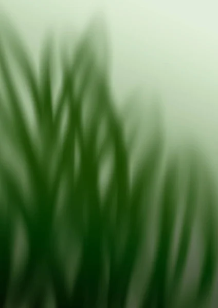 Abstract View Plants Herbs Leaves Green Color — Fotografia de Stock