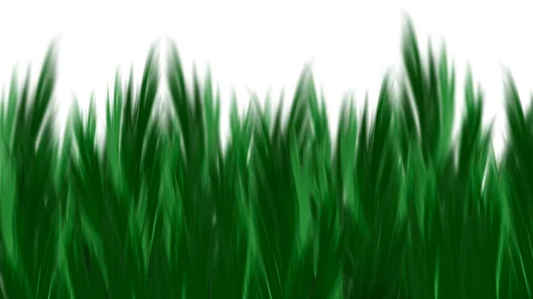 Abstract View Plants Herbs Leaves Green Color — 스톡 사진