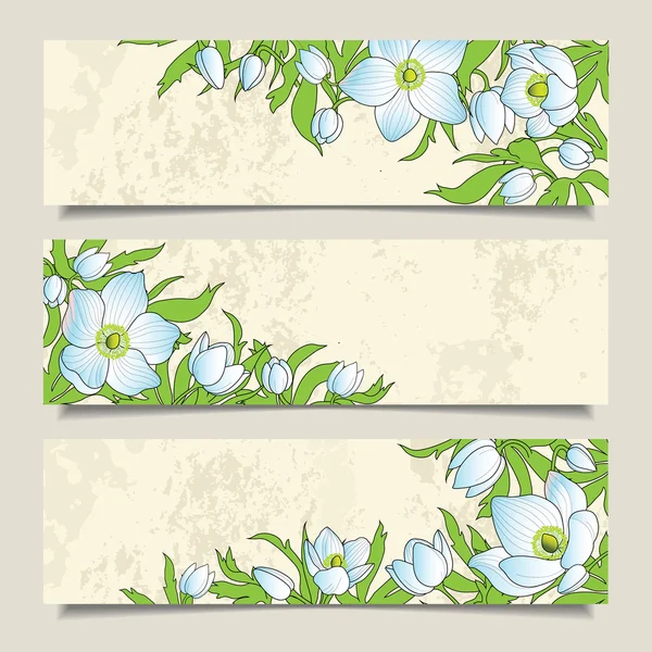 Horisontella banners med anemonerna — Stock vektor
