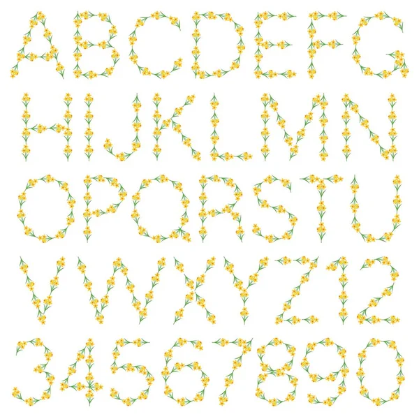 ダフォジルの花のベクトルアルファベット — ストックベクタ