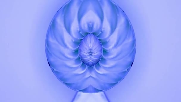 ゆっくりと回転する青みがかった色調のノーチラスシェルの万華鏡ビデオ その軸の周りの半分に分割 — ストック動画