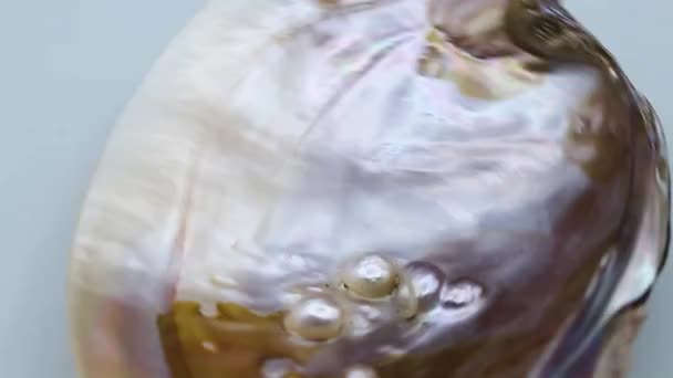 Περιστροφή Του Κελύφους Mother Pearl Διάφορα Μαργαριτάρια Στο Εσωτερικό Ίχνη — Αρχείο Βίντεο