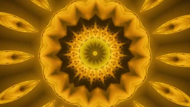 回転の遅い黄金の毛のノーチラスの殻の万華鏡ビデオ その軸の周りに半分に分割 — ストック動画