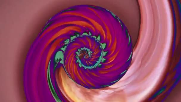 Nautilus Shell Rotação Lenta Dividido Meio Torno Seu Eixo — Vídeo de Stock