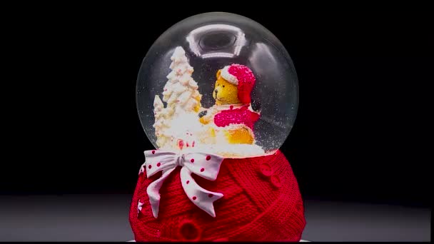 Kryształowa Kula Śniegiem Motyw Świąteczny Szczeniak Ubrany Jak Święty Mikołaj — Wideo stockowe