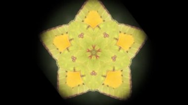 Bir çiçeğin üzerine tünemiş sarı bir kelebeğin kanatlarının hareket modellerini gösteren soyut bir video.