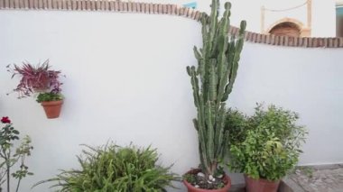 Sokaklar ve tipik Frigiliana yerleri, beyaz Axarquia kasabası, turizm beldesi, Malaga, Endülüs, İspanya