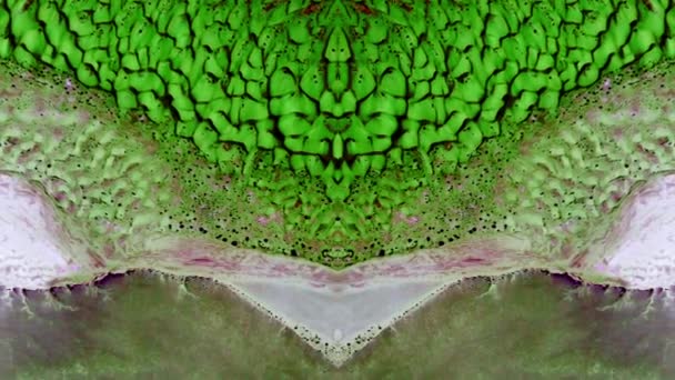 Abstract Kaleidoscopic Video Natural Textures — Wideo stockowe