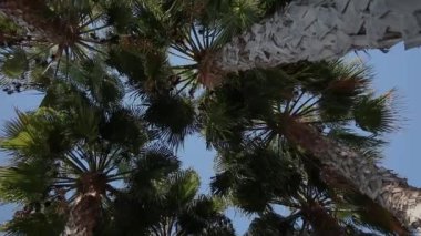 Almuecar, Granada, Endülüs, İspanya 'daki Akdeniz' in tropikal kıyılarının videosu