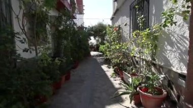 Beyaz köy Salobrea, Costa Tropical, Granada, Endülüs, İspanya 'da bitkilerle dolu koridor