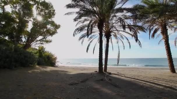 Video Tropical Coast Mediterranean Sea Almuecar Granada Andalusia Spain — Stockvideo