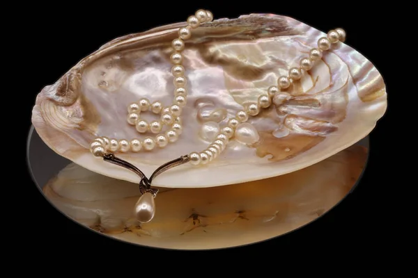 Perlmutt Muschel Mit Naturperlen Mit Perlenkette Auf Einem Runden Spiegel — Stockfoto