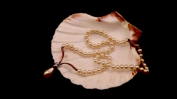 Video Scallop Shell Pearl Necklace Singular Pearl Rotating Black Background — Stock Video