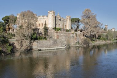 Toledo 'nun Malpica de Tajo köyündeki Malpica kalesinin yatay renkli fotoğrafı.,