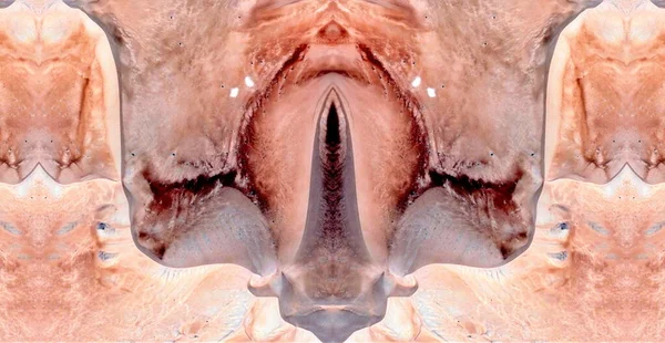 Afrika Çöllerinin Havadan Çekilmiş Erotik Simetrik Fotoğrafları — Stok fotoğraf