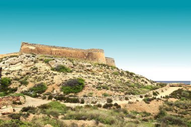  Deniz tarafından aşınan lav dilleri, otomatik klastik boşluklar veya piroklastik andesite taşlaşmış dalga, Mnsul plajı, Doğal Park, Cabo de Gata, İspanya