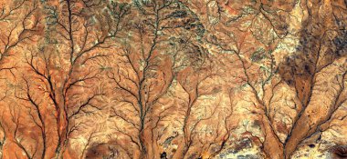 Sonbaharda orman, Afrika çöllerinin soyut fotoğraflarının havadan çekilmesi. Çöl manzaralarının havadan görünüşü, Tür: Soyut doğalcılık, soyuttan mecazlara