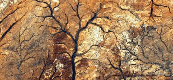 Δάσος Φθινόπωρο Αφηρημένη Φωτογραφία Των Ερήμων Της Αφρικής Από Τον — Φωτογραφία Αρχείου