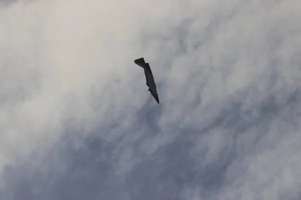 Aviões Guerra Fazendo Acrobacias Emulando Ataques Aéreos Guerra Batalha Aérea — Fotografia de Stock