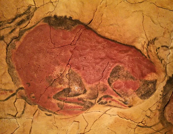 example of copies of cave paintings in the new Altamira cave