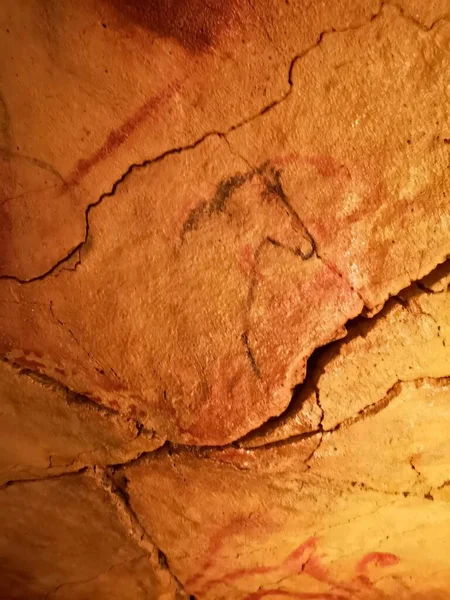 example of copies of cave paintings in the new Altamira cave