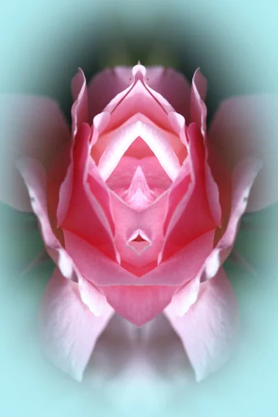 Jamoat transporti liftida jinsiy aloqa Eng yaxshi rus porno filmlar yuqori sifatli