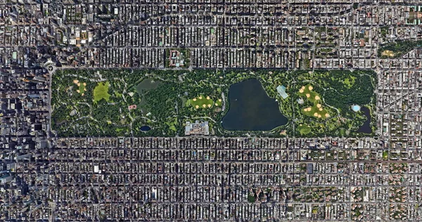 Artificial Forest Haunted Forest New York Central Park Air Cement — 图库照片