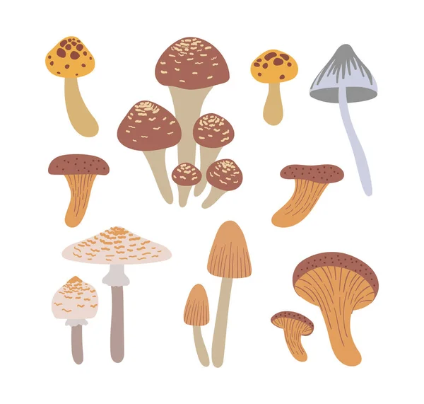 Mushrooms Set Hand Drawn Vector Illustration Brown Poisonous Mushroom Autumn — Stockvektor