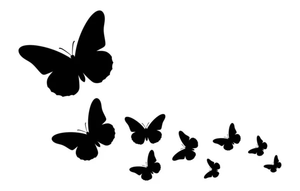 Vektorkomposition Mit Schmetterlingen Vereinzelte Schwarze Illustration Auf Weißem Hintergrund — Stockvektor