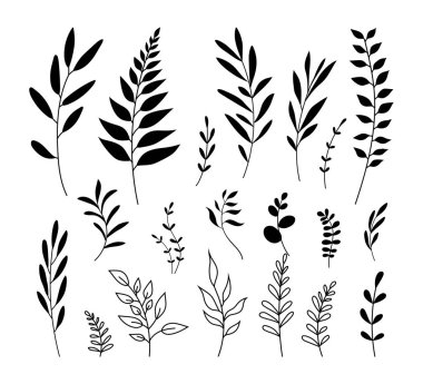 Vector set with leaves. Hand drawn illustration. Isolated black objects on white background. Summer concept