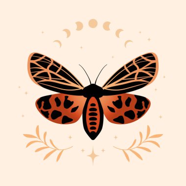 Vector illustration with hand drawn butterfly and moon phases. Boho celestial composition. Mystical moth.