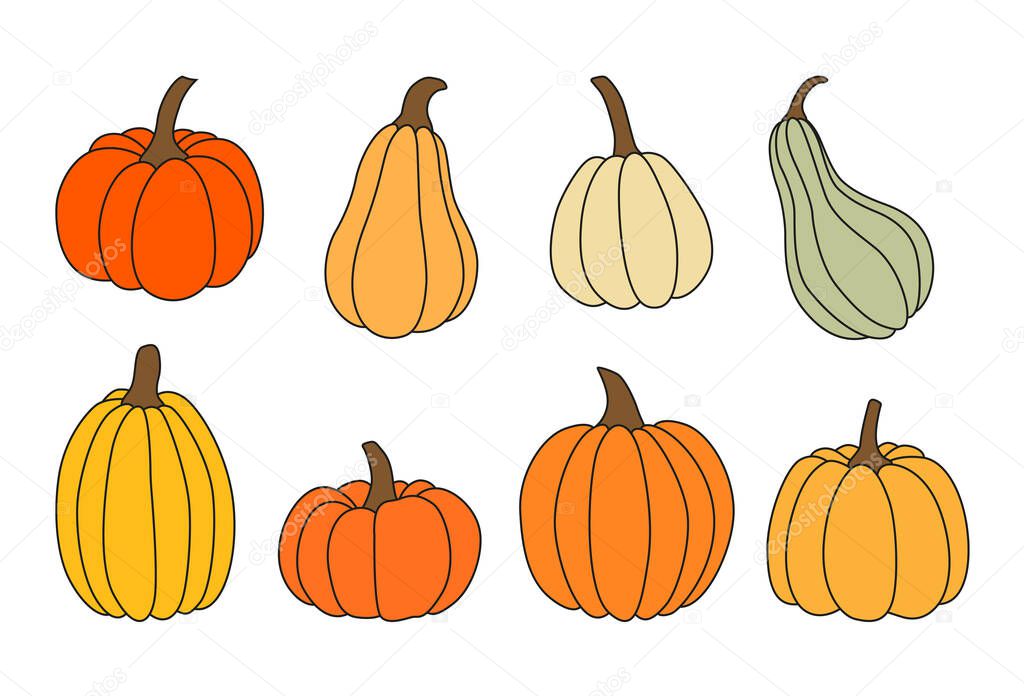 Vector pumpkin set. Hand drawn illustrations for autumn decorative design. Halloween collection.