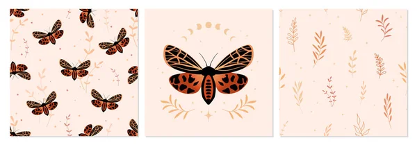 Grammia Virgo Ile Vektör Ayarlandı Ayrılıyor Kusursuz Desenler Turuncu Kelebekler — Stok Vektör