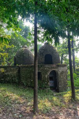 Hindu tapınağı kubbesi ormandaki ağaçlardan ortaya çıkıyor.