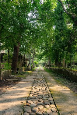 Rishikesh kenti yakınlarındaki doğal manzara