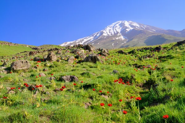 Damavand v Íránu — Stock fotografie